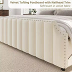 Cadre de lit en velours Whizmax, tête de lit capitonnée de 127,5 cm, pied de lit avec garniture cloutée, sommier tapissier non requis, lattes en bois massif, silencieux
