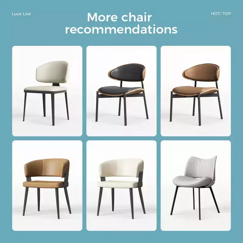 Luck Live Chaises de Salle à Manger Modernes Lot de 2 Chaises d'Extérieur / Chaises sans Accoudoirs Marron & Structure Métallique