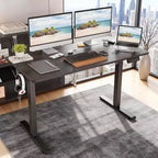 MAYEERTY Bureau Debout Électrique 48x24 Noyer - Bureau à Domicile, Plateau en Bois Reconstitué, Hauteur Réglable