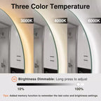 Miroir Infini 3 Couleurs 63x24, Miroir de Coiffeuse LED pour Salle de Bain, Entrée de Chambre à Coucher, Salon/Dressing