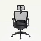FLEXISPOT C4 Chaise de bureau ergonomique standard, coussin d'assise en mousse, noir