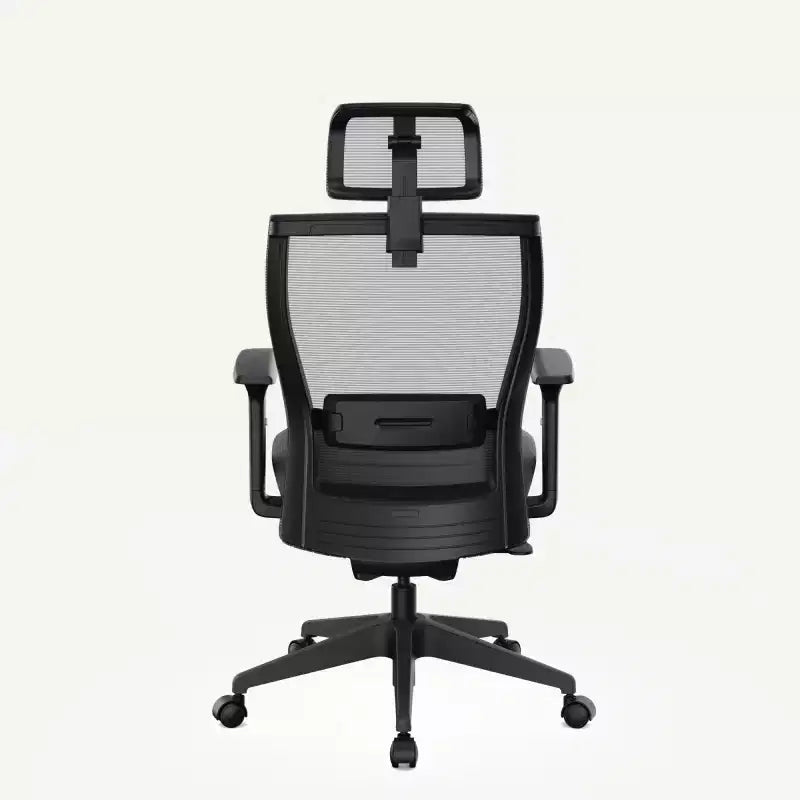 FLEXISPOT C4 Chaise de bureau ergonomique standard, coussin d'assise en mousse, noir