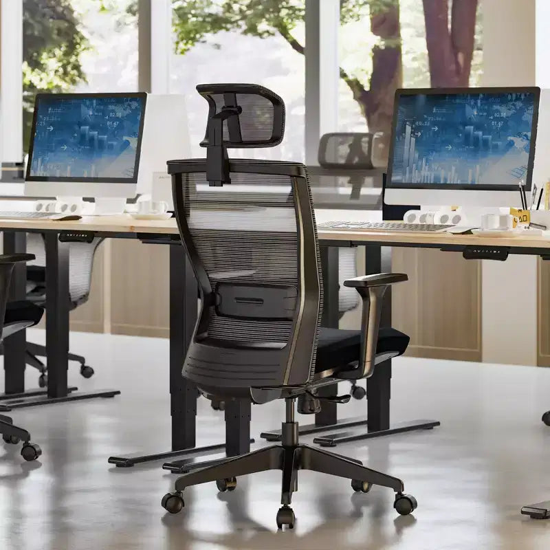 FLEXISPOT C4 Chaise de bureau ergonomique standard, coussin d'assise en mousse, noir