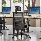 FLEXISPOT C4 Chaise de bureau ergonomique standard, coussin d'assise en mousse, noir
