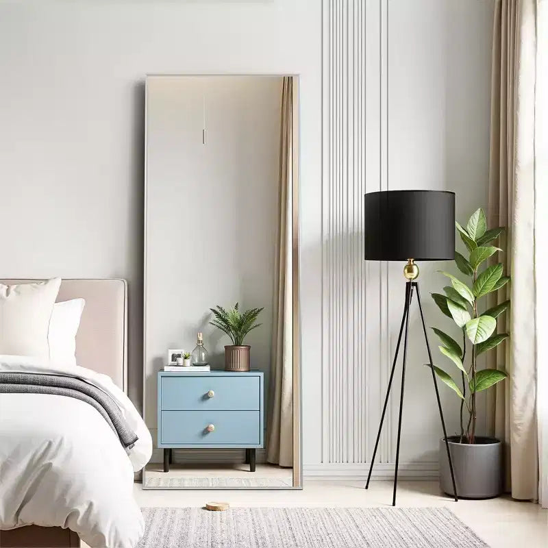 MAYEERTY Miroir pleine longueur rectangulaire à bords fins en aluminium, 64,17x21,26x0,59 pouces, couleur argent, avec support