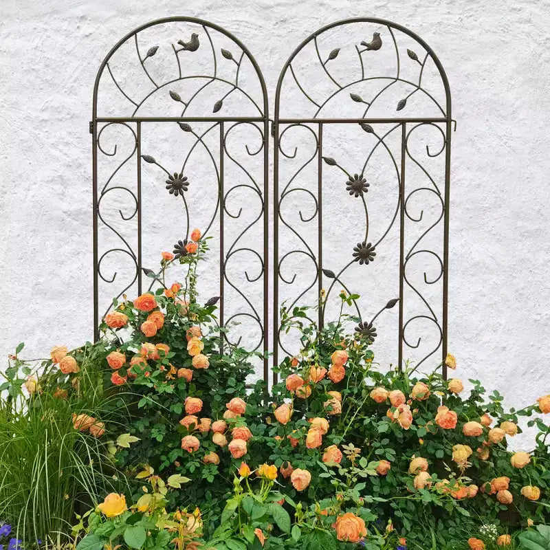MAYEERTY Lot de 2 treillis de jardin en métal 220 x 50 cm – Antirouille, marron, pour plantes grimpantes et fleurs d'extérieur