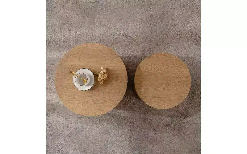 Ensemble de 2 tables basses gigognes rondes TUYOHW, table centrale en MDF écologique pour salon, table d'appoint moderne en bois, table d'appoint