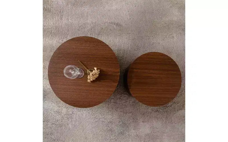 Ensemble de 2 tables basses gigognes rondes TUYOHW, table centrale en MDF écologique pour salon, table d'appoint moderne en bois, table d'appoint