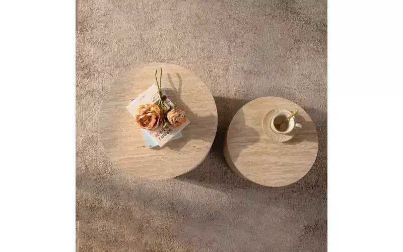 Ensemble de 2 tables basses gigognes rondes TUYOHW, table centrale en MDF écologique pour salon, table d'appoint moderne en bois, table d'appoint