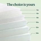 Matelas en mousse à mémoire de forme au thé vert Zinus 14 pouces Queen, sensation mi-ferme, soulagement de la pression zoné, mousses et tissus certifiés sans danger, matelas en boîte