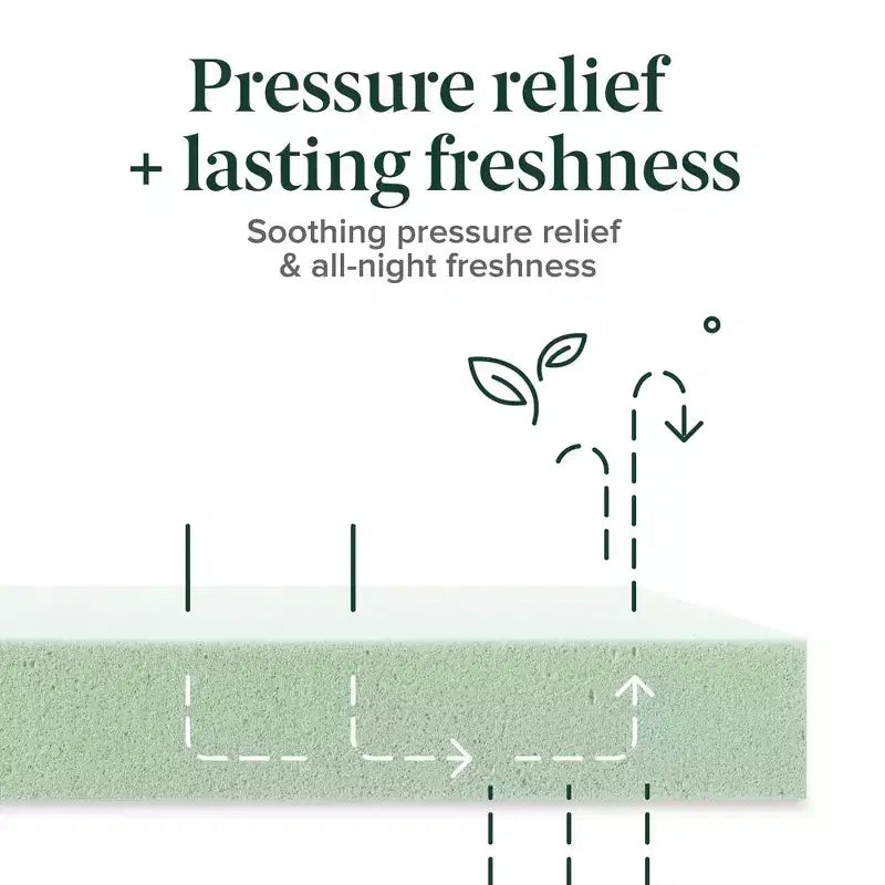 Matelas en mousse à mémoire de forme au thé vert Zinus 14 pouces Queen, sensation mi-ferme, soulagement de la pression zoné, mousses et tissus certifiés sans danger, matelas en boîte