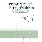 Matelas en mousse à mémoire de forme au thé vert Zinus 14 pouces Queen, sensation mi-ferme, soulagement de la pression zoné, mousses et tissus certifiés sans danger, matelas en boîte