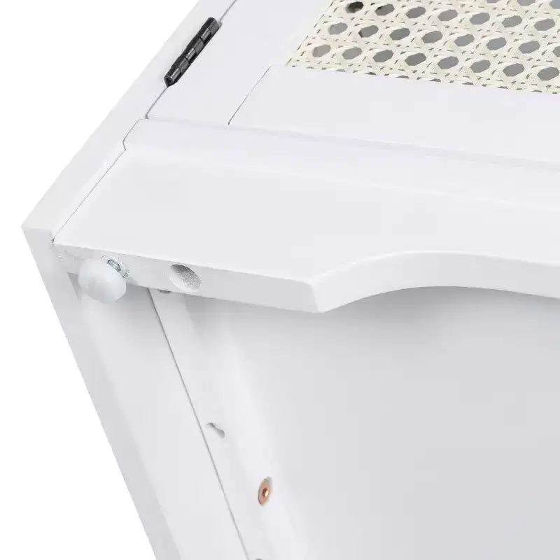Banc d'entrée rustique en rotin avec rangement, banc à chaussures d'entrée avec coussin amovible pour couloir ou salon-Panipeachy
