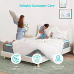 Matelas hybride Serweet 8 pouces en charbon de bambou respirant - Compatible avec les lits plateforme, les sommiers tapissiers ou les bases à lattes